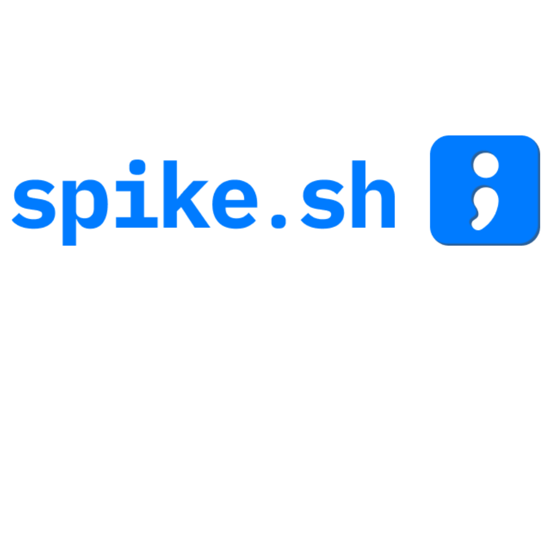 Transforming Security and Access: A Conversation with the Spike Team